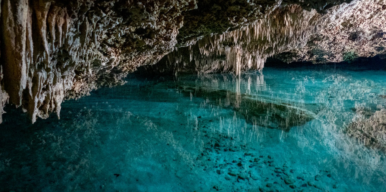 Cenote Experience