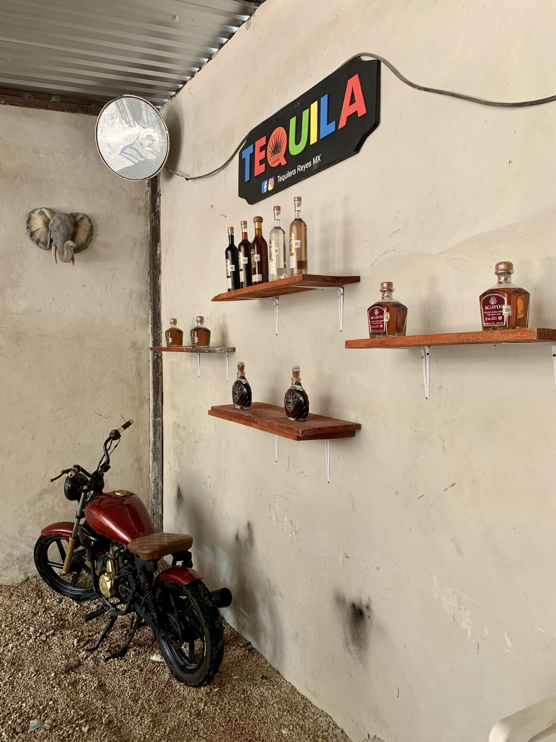 Artisanal tequila tasting