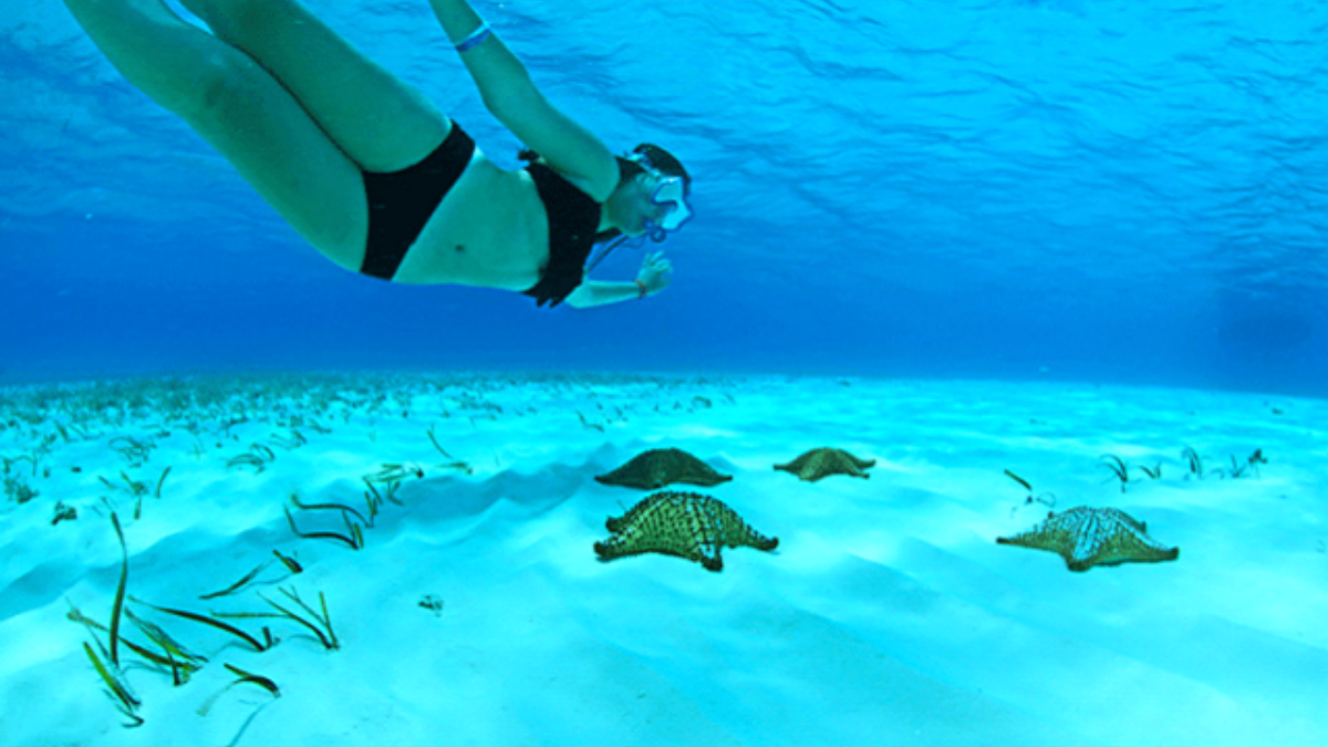 cozumel_2
